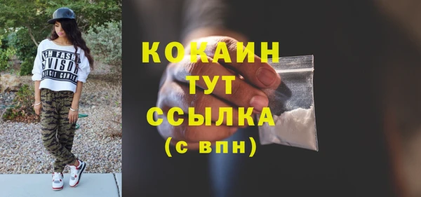 крисы Богородицк