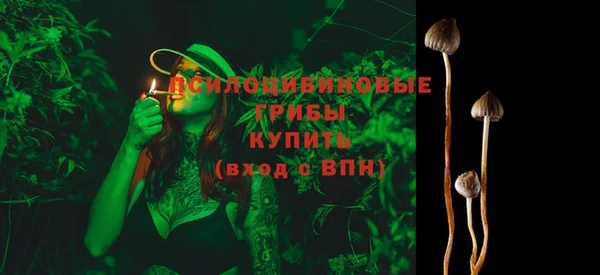 меф Белокуриха