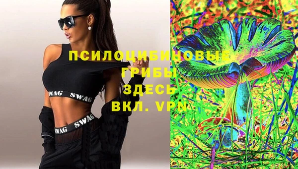 меф Белокуриха