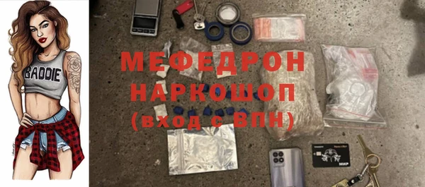 крисы Богородицк