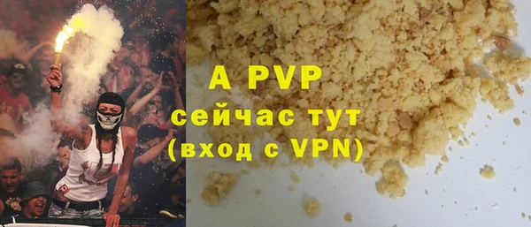 крисы Богородицк