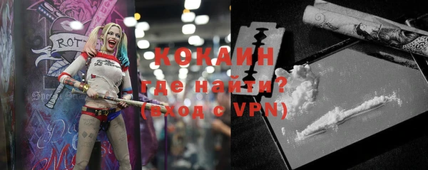 крисы Богородицк